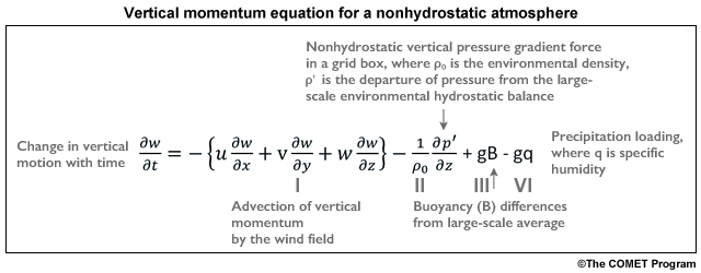 Vertical momentum equation